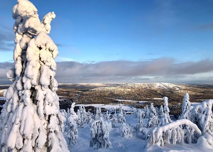 Taehtisara Tatil Evi